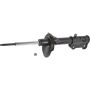 Autopart International Strut Assembly 2701248235