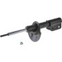 Autopart International Strut Assembly 2701248238