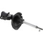 Autopart International Strut Assembly 2701248239