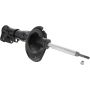 Autopart International Strut Assembly 2701248240