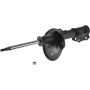 Autopart International Strut Assembly 2701248244