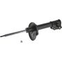 Autopart International Strut Assembly 2701248245