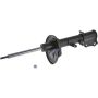 Autopart International Strut Assembly 2701248246