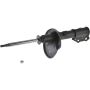 Autopart International Strut Assembly 2701248248