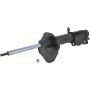 Autopart International Strut Assembly 2701248249