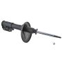 Autopart International Strut Assembly 2701248267