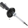 Autopart International Strut Assembly 2701248277