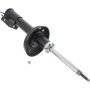 Autopart International Strut Assembly 2701248278