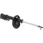 Autopart International Strut Assembly 2701248281