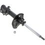 Autopart International Strut Assembly 2701248283