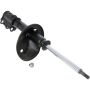 Autopart International Strut Assembly 2701248285