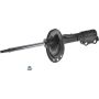 Autopart International Strut Assembly 2701248286