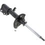 Autopart International Strut Assembly 2701248288