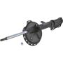 Autopart International Strut Assembly 2701248291