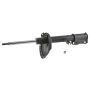 Autopart International Strut Assembly 2701248292