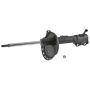 Autopart International Strut Assembly 2701248293