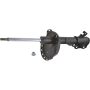 Autopart International Strut Assembly 2701248294