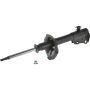 Autopart International Strut Assembly 2701248295
