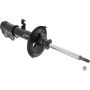 Autopart International Strut Assembly 2701248296