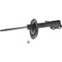 Autopart International Strut Assembly 2701248300
