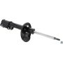 Autopart International Strut Assembly 2701248301