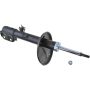 Autopart International Strut Assembly 2701248303