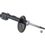 Autopart International Strut Assembly 2701248304