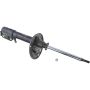 Autopart International Strut Assembly 2701248307