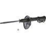 Autopart International Strut Assembly 2701248308