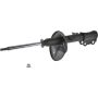Autopart International Strut Assembly 2701248309