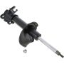 Autopart International Strut Assembly 2701248310