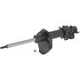 Autopart International Strut Assembly 2701248312