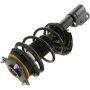 Autopart International Strut/Coil Spring Assy 2701248732