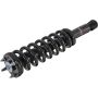 Autopart International Strut/Coil Spring Assy 2701248757