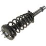 Autopart International Strut/Coil Spring Assy 2701248758