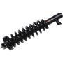 Autopart International Strut/Coil Spring Assy 2701256892