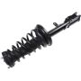 Autopart International Strut/Coil Spring Assy 2701256897