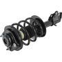 Autopart International Strut/Coil Spring Assy 2701256898