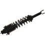 Autopart International Strut/Coil Spring Assy 2701256906