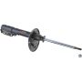 Autopart International Strut Assembly 2701258033