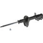 Autopart International Strut Assembly 2701288906