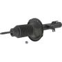 Autopart International Strut Assembly 2701288912