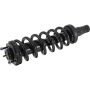 Autopart International Strut/Coil Spring Assy 2701289582