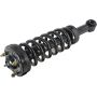 Autopart International Strut/Coil Spring Assy 2701289584