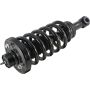 Autopart International Strut/Coil Spring Assy 2701289586