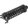Autopart International Strut/Coil Spring Assy 2701289589