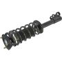 Autopart International Strut/Coil Spring Assy 2701289592