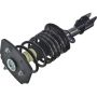 Autopart International Strut/Coil Spring Assy 2701289594
