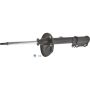 Autopart International Strut Assembly 2701314384