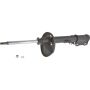 Autopart International Strut Assembly 2701314385